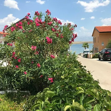 Darija Apartament Vir