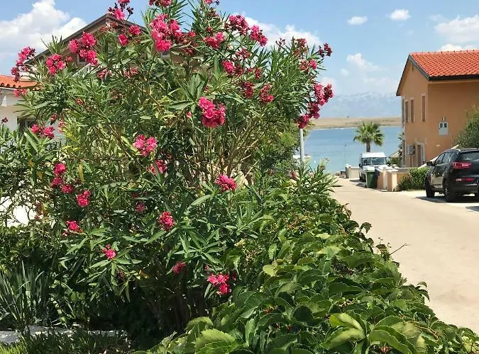 Darija Appartement Vir